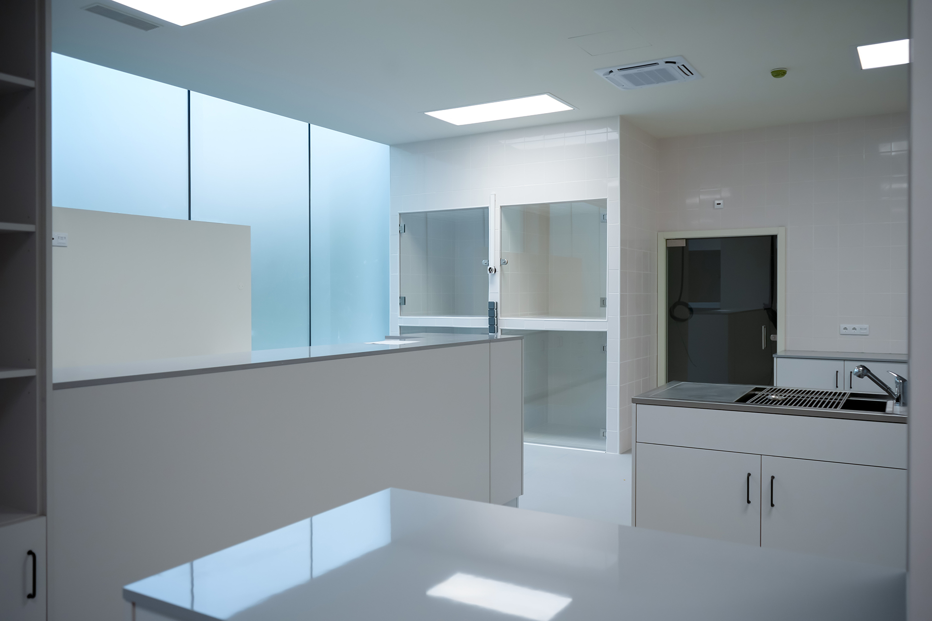 Veterinary Hospital | Evidensia, Guimarães 1